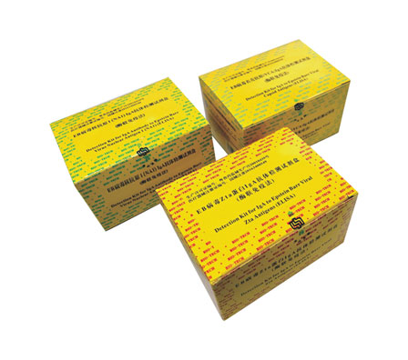 首页-MG视讯厅真人官方网站