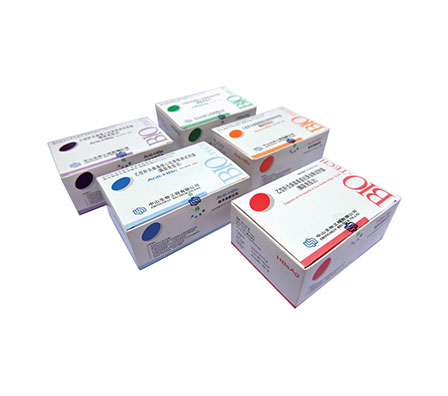 首页-MG视讯厅真人官方网站