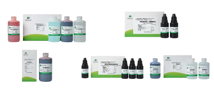 首页-MG视讯厅真人官方网站