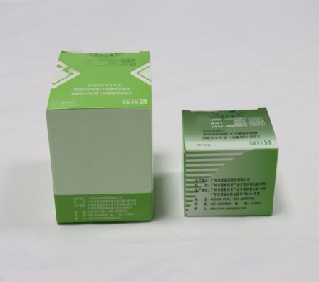 首页-MG视讯厅真人官方网站